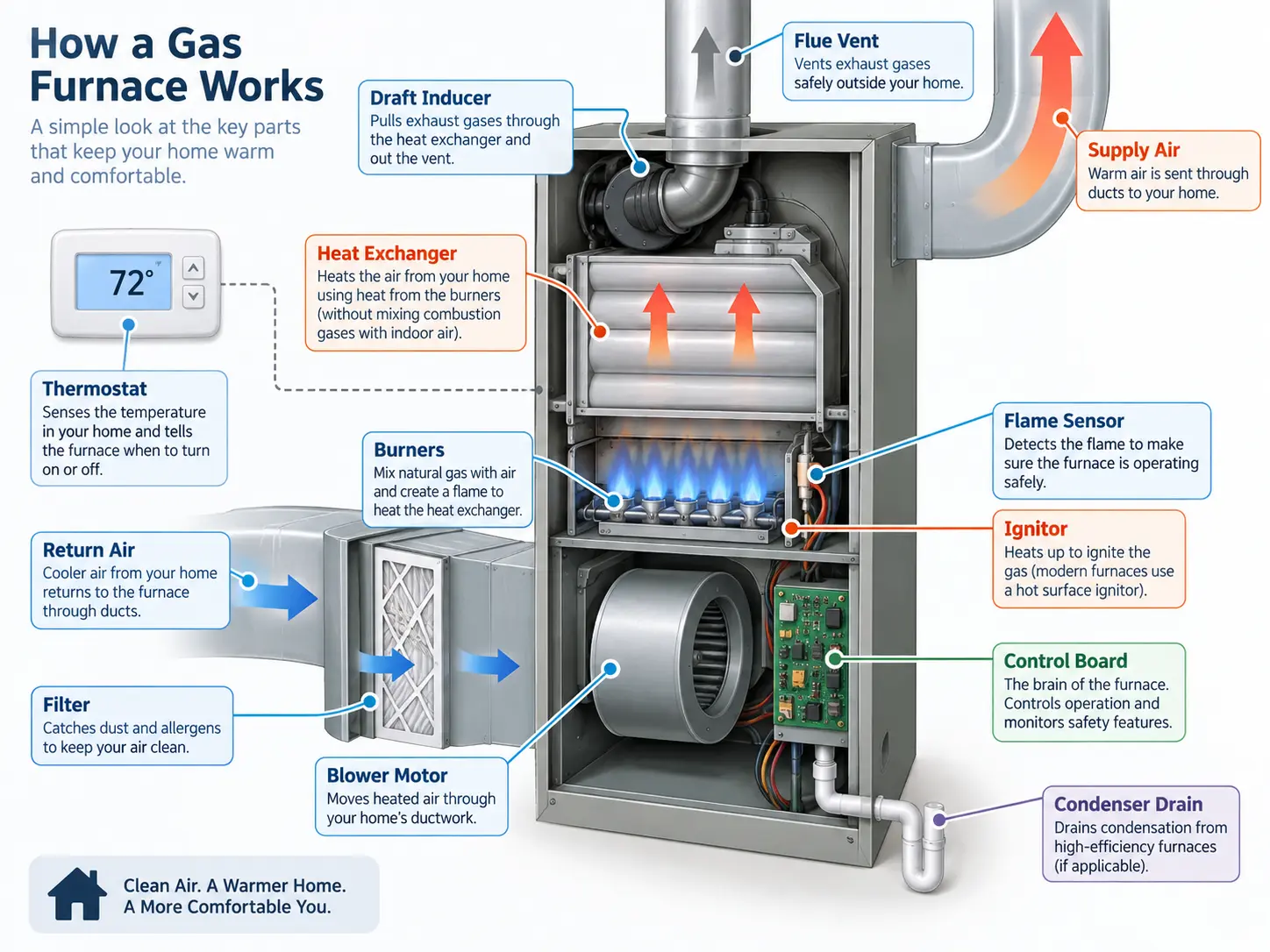 Labeled diagram of a residential gas furnace showing the thermostat, filter, burners, heat exchanger, blower motor, control board, flue vent and condensate drain